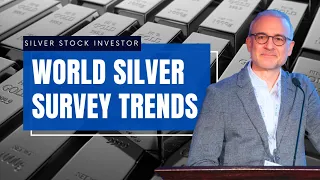 World Silver Survey Trends