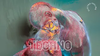TECHNO MIX 2023 | MELODIC VIBES | Electro Feeling Mix