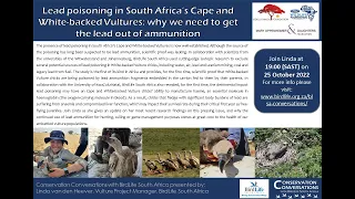 Conservation Conversations: Lead poisoning in South Africa’s Vultures– Linda vd Heever (25Oct22)