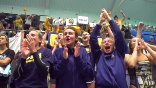 Cal Women's Swimming & Diving: NCAA Championships - Day 3 Highlights