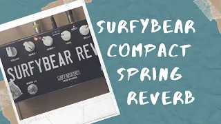 SurfyBear Compact by Surfy Industries - a Reverb Pedal with Real Springs!