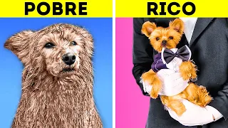 CACHORRO RICO VS. CACHORRO POBRE || Truques Divertidos e Acessórios Úteis