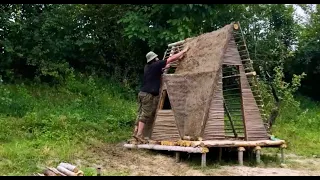 I Built a Forest Clay Hut ALONE and Lived In It!