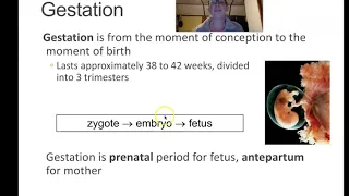 Med Term Lecture Ch13b