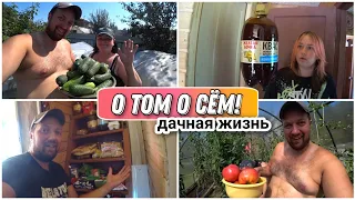 ВЛОГ! Накупили всякой всячины😀/Снимаем наш большой урожай🔥/Жизнь на даче как в деревне/Обзор покупок