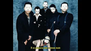 Rammstein- Ohne Dich (tradução)