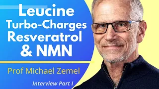 Leucine Amplifies The Effects Of Resveratrol & NMN  | Prof Michael Zemel  Ep 1