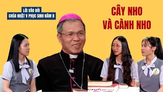 Cây nho và cành nho - ĐGM Giuse Bùi Công Trác | Lời Vào Đời