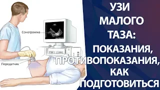 УЗИ малого таза: как подготовиться к УЗИ малого таза, показания и противопоказания