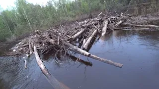 Сплавляемся по течению домой. Кого засняла фотоловушка? 15 серия /Ремонт второй избы 2023/