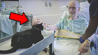 This Cat Visits Its Owner Every Day– Doctor Finds It’s Not Just For Company.