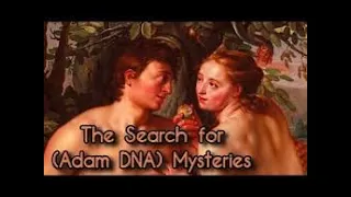 The search for Adam || DNA Mysteries || BBC Documentary History || National Geographic Documentary