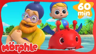 Morphle Is A Shark 🦈 | My Magic Pet Morphle | Morphle 3D | Full Episodes | Cartoons for Kids