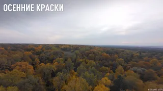 Осенний лес. FPV Cinematic x Freestyle