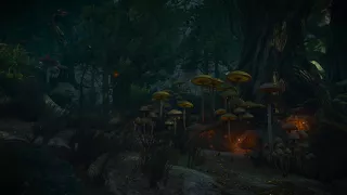 The Witcher 3 (ASMR/Sleep Aid) Nap time in the Land of a Thousand Fables - Ambient Sounds