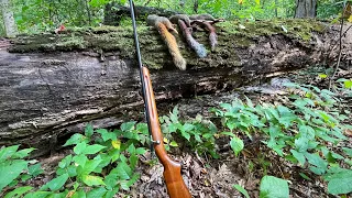 Squirrel Hunting Madness (VINTAGE RIFLE)