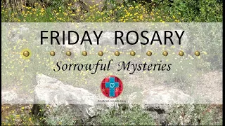 Friday Rosary • Sorrowful Mysteries of the Rosary 💜 Boulders Among Yellow Flowers