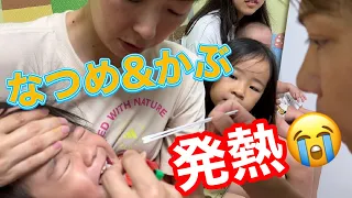 【久しぶりの全員集合動画のはずが…】なつめ＆かぶちゃん緊急診察になりました😭💦