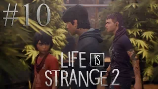Life is Strange 2 - ПРОХОЖДЕНИЕ #10 | ЛУЧШАЯ РАБОТА В МИРЕ