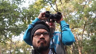 Pehli hi Safari me Tiger | Pench National Park | Part 1 | Ss vlogs :-)