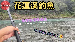 【霞面】花蓮釣魚｜魚開口時擋都擋不住，岸邊就會咬！看我一直拉，朋友直接無言｜黃昏的黃金時段魚都在岸邊翻｜Fishing