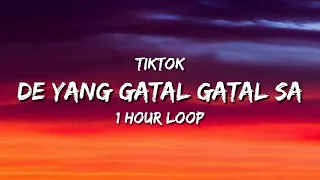 De Yang Gatal Gatal Sa - ( 1 Hour Loop) Tiktok Song