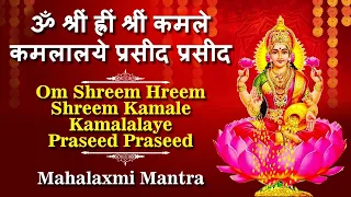 Om Shreem Hreem Shreem Kamle Kamalalaye Praseed Praseed - Mahalaxmi Mantra - Laxmi Mantra Jaap
