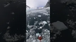 Sailing through the Antarctic ice.