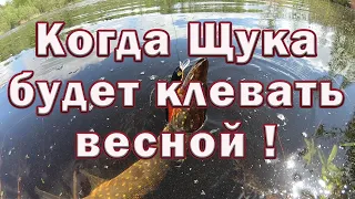 КОГДА щука БУДЕТ КЛЕВАТЬ весной !!! Тактика ловли щуки весной на реке . Рыбалка на Щуку .