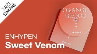 ENHYPEN - Sweet Venom 1시간 연속 재생 / 가사 / Lyrics