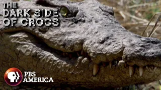 The Dark Side of Crocs FULL SPECIAL | PBS America
