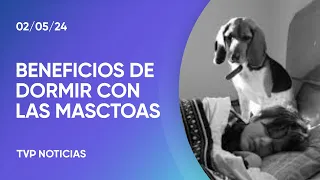 Dormir con la mascota, ¿ayuda a paliar la depresión?