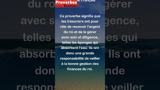 Les trésoriers sont les éponges du roi. Proverbe Français #shorts