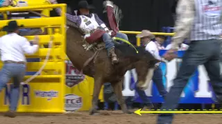 Rodeo 101 : Bareback Riding