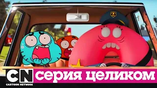 Гамбола | Закон + Аллергия (серия целиком) | Cartoon Network