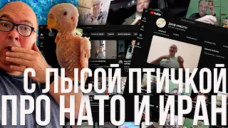 Про Иран и НАТО. Отвечаю лысой птичке. | OlpopCast 2022