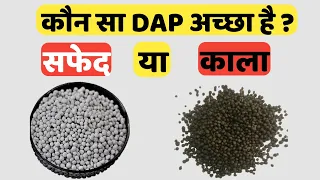 कौन सी DAP अच्छी है। सफेद DAP डाले या काली । White DAP vs Black DAP।Kisan Mitra Nitin । #dap