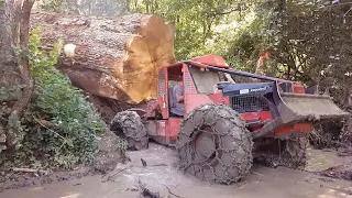 Amazing Dangerous Idiots Logging Wood Trucks Operator. Oversize Load Heavy Equipment Tractor Working