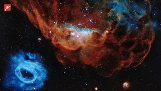 A Closer Look at Two Stunning Nebulae: NGC 2014 and NGC 2020 #shorts