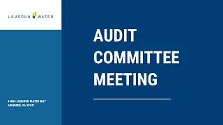 March 3, 2021   Audit Committee Meeting Virtual