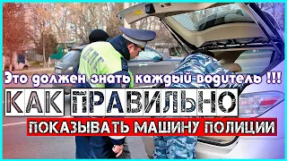 Разница между осмотром автомобиля и досмотром как правильно показывать машину полиции