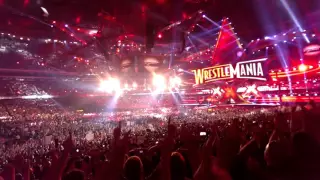 Daniel Bryan entrance at Wrestlemania 30 (live crowd)