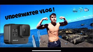 GOPRO HERO 8 Underwater Vlog (HAWAII)