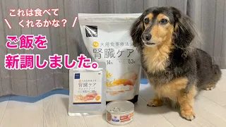 【ダックスフンド】ドライフードを替えてみました！食べる？ｏｒ食べない？さぁ～どっち？？？