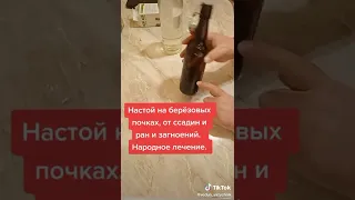 Настой на березовых почках