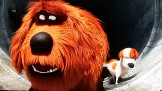 The Secret Life Of Pets Sewer Chase Part 1 Scene