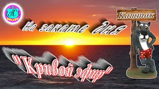 #Абхазия2024 🌴21 апреля ❗  "Кривой Эфир" с  Серым Волком и Русалочка ❗ На закате дня❗