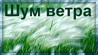 1Час -Ласковый Шум Летнего Ветра / Wind Rising