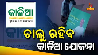 Good News For Farmers, Odisha Govt Extended The Term Of 'Kalia Yojana' To 2024,