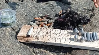 COM ESSAS ISCAS É PESCARIA GARANTIDA PESCARIA DE COSTEIRA OU COSTÃO OU PRAIA GUARAPARI ES PESCARIA..